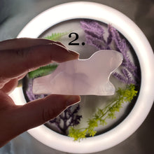 Load image into Gallery viewer, Fluorite Seal