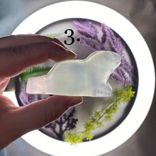 Load image into Gallery viewer, Fluorite Seal