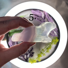 Load image into Gallery viewer, Fluorite Seal