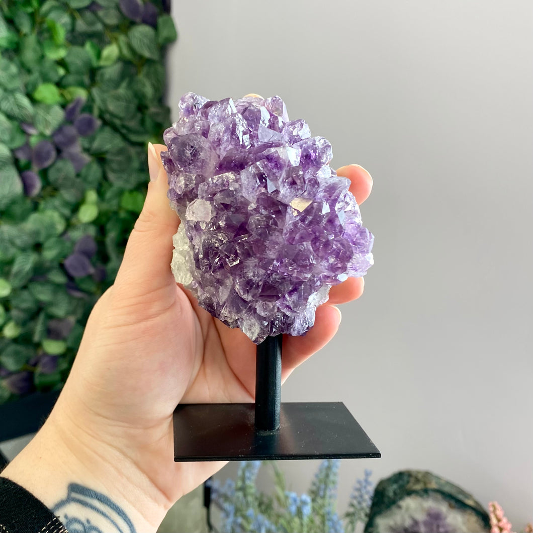 Amethyst Cluster on Stand (A)