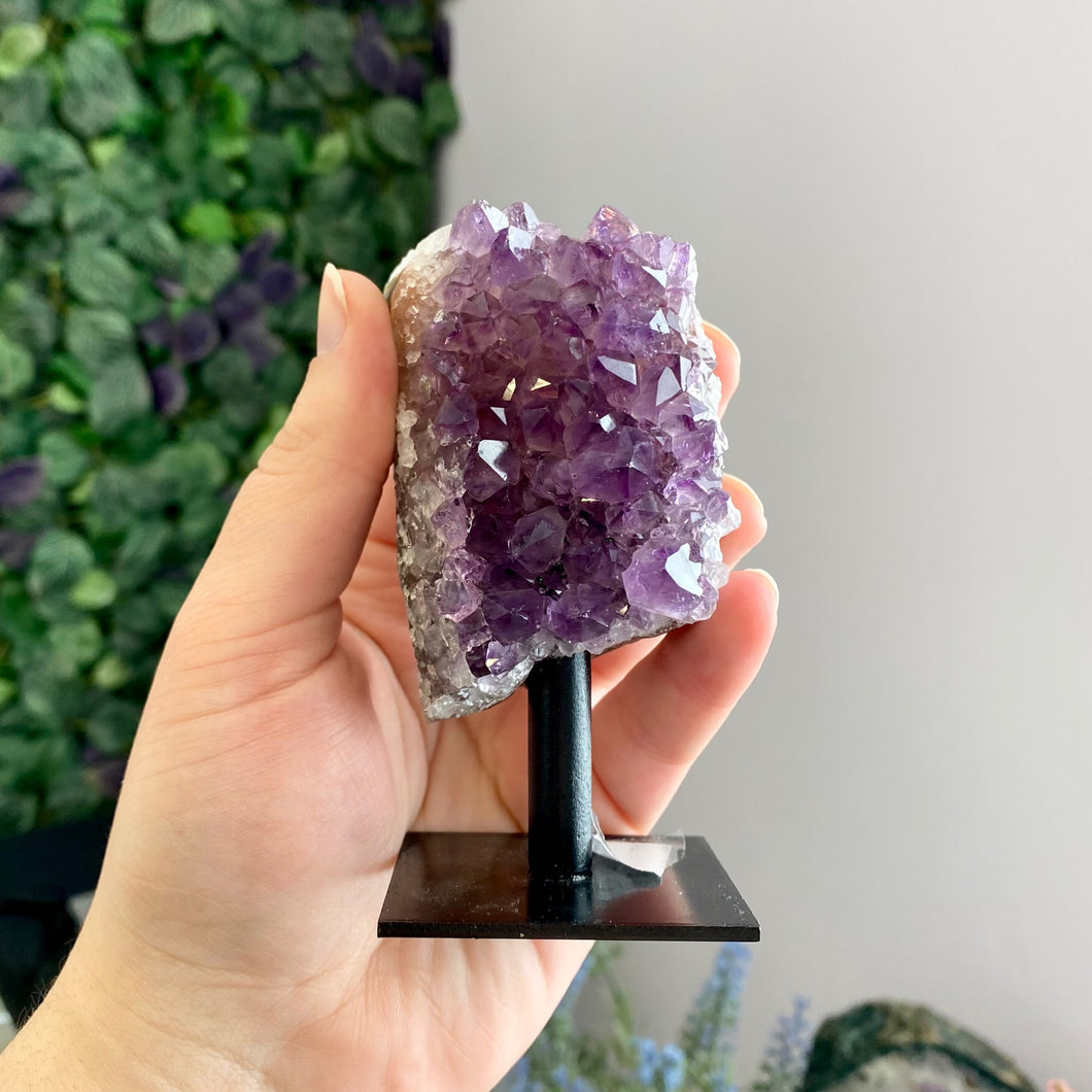 Amethyst Cluster on Stand (B)