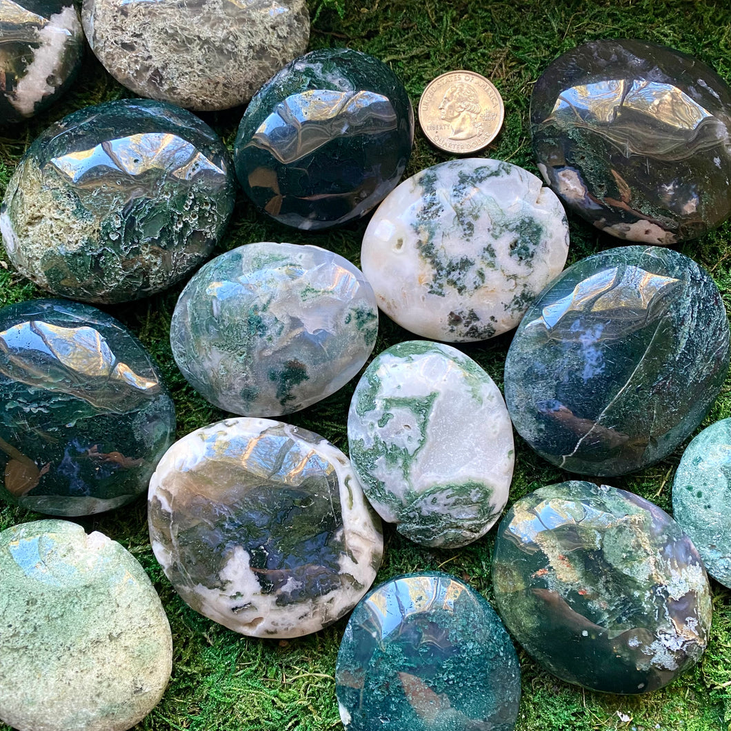 Moss Agate Palm Stone Mystery Grab